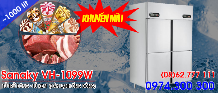 Sanaky VH-1099W